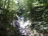 klopein2005_024