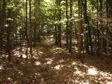 klopein2005_025