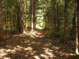 klopein2005_026
