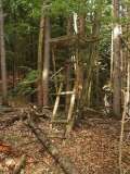 klopein2005_027
