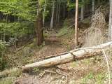klopein2005_031