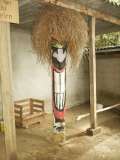 klopein2005_165