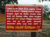 klopein2005_207