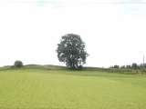 klopein2005_212
