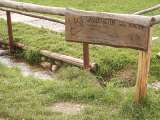 klopein2005_215