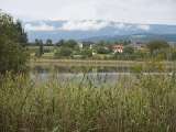 klopein2005_227