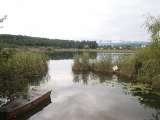 klopein2005_228