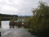 klopein2005_229