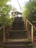 klopein2005_258