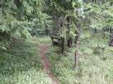 klopein2005_265