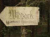 klopein2005_268