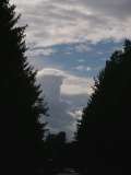 klopein2005_274