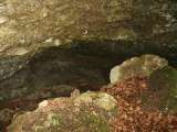 klopein2005_442