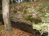 klopein2005_443