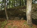 klopein2005_444