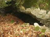 klopein2005_445