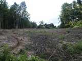 klopein2005_484