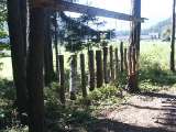 klopein2005_487