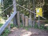 klopein2005_488