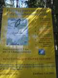 klopein2005_490