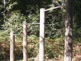 klopein2005_503