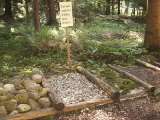 klopein2005_506