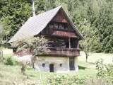 klopein2005_537