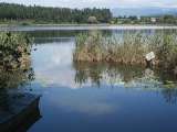 klopein2005_545