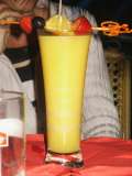 klopein2005_597