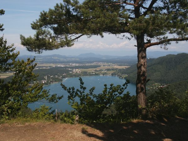klopein2005_064