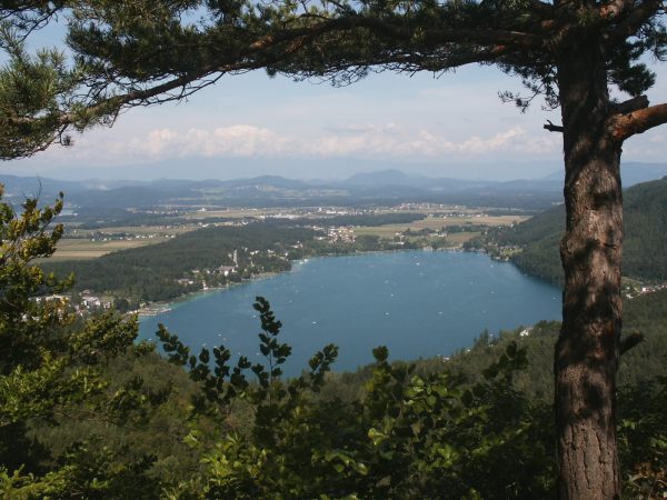 klopein2005_065