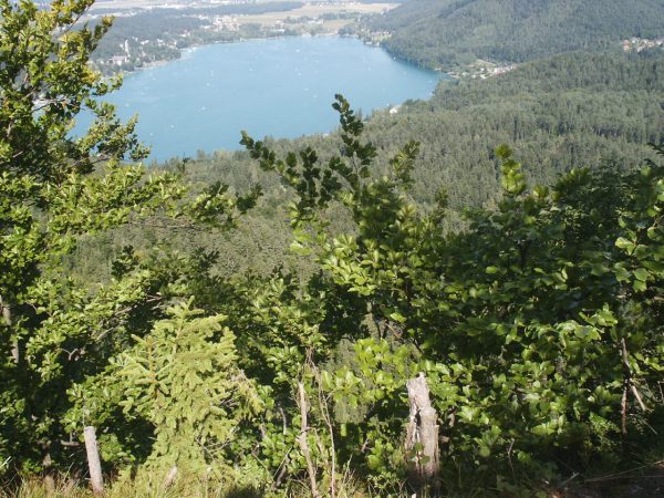 klopein2005_068