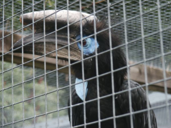 klopein2005_089