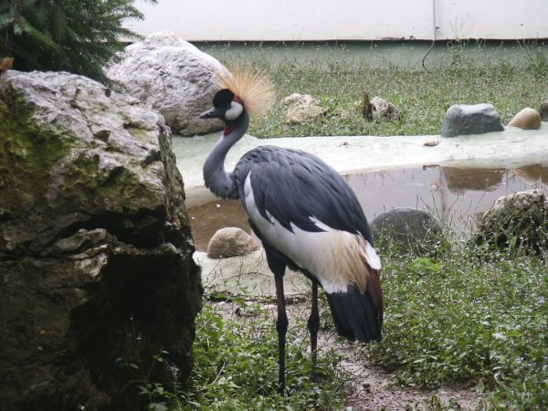 klopein2005_112