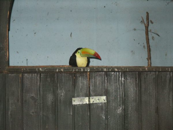 klopein2005_114