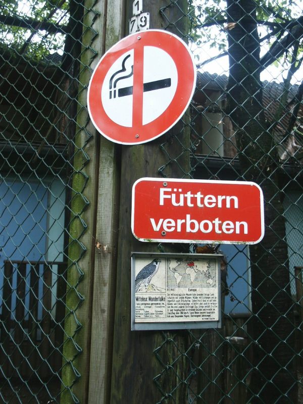 klopein2005_129