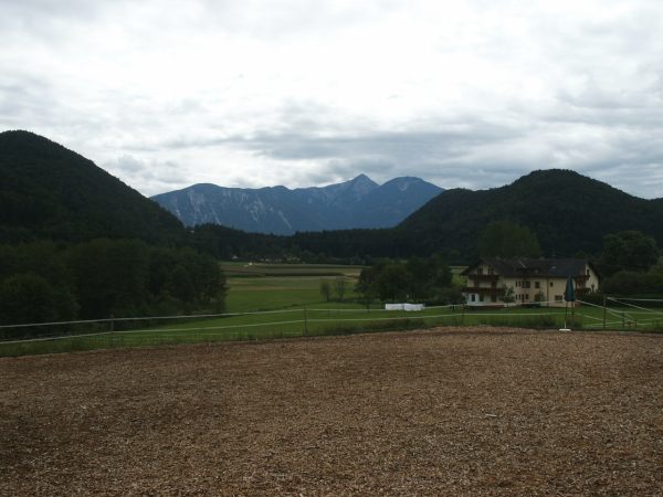 klopein2005_202