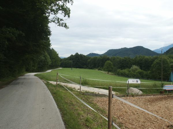 klopein2005_203