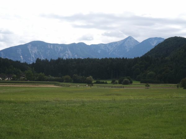 klopein2005_210