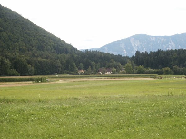 klopein2005_211