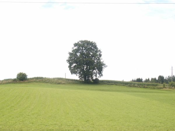 klopein2005_212