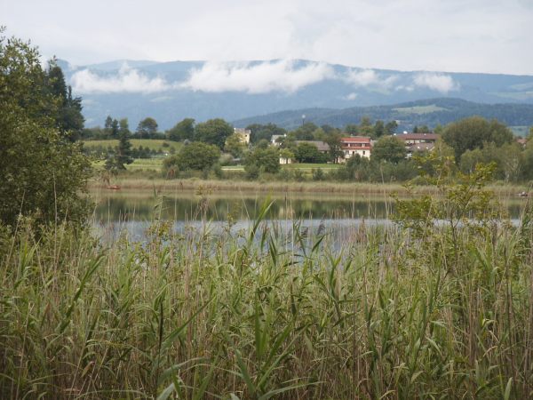 klopein2005_227
