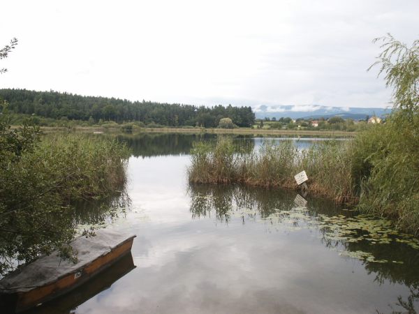 klopein2005_228