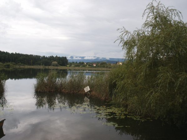klopein2005_229