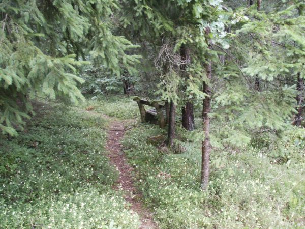 klopein2005_265