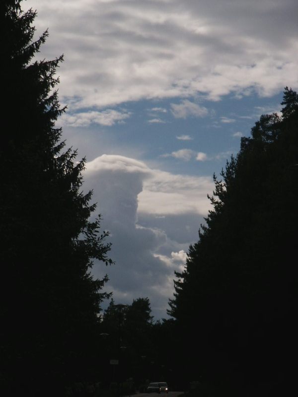 klopein2005_274