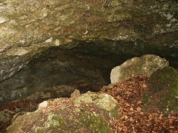 klopein2005_442