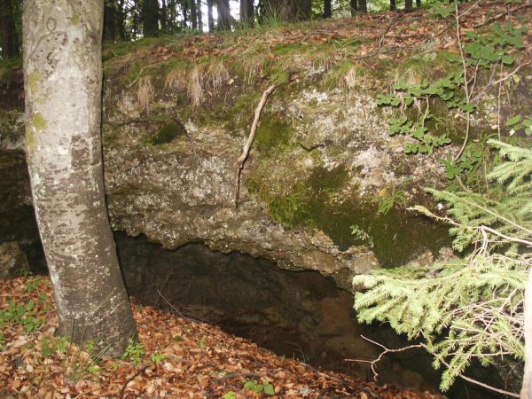 klopein2005_443
