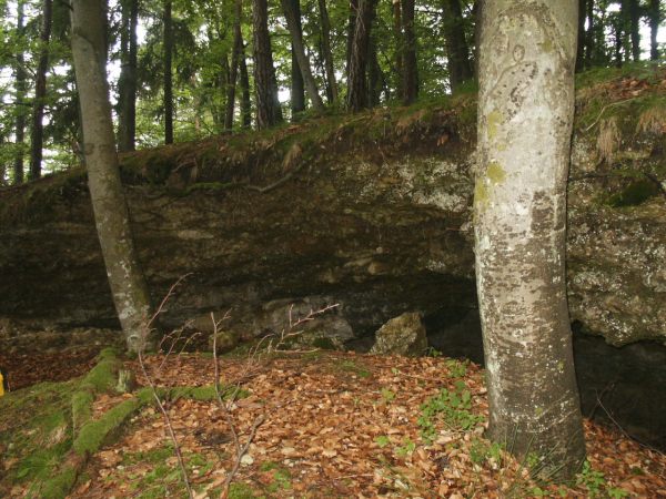 klopein2005_444