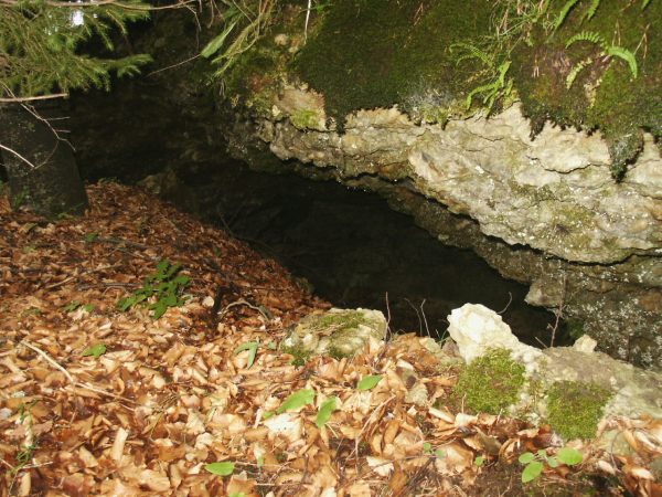 klopein2005_445
